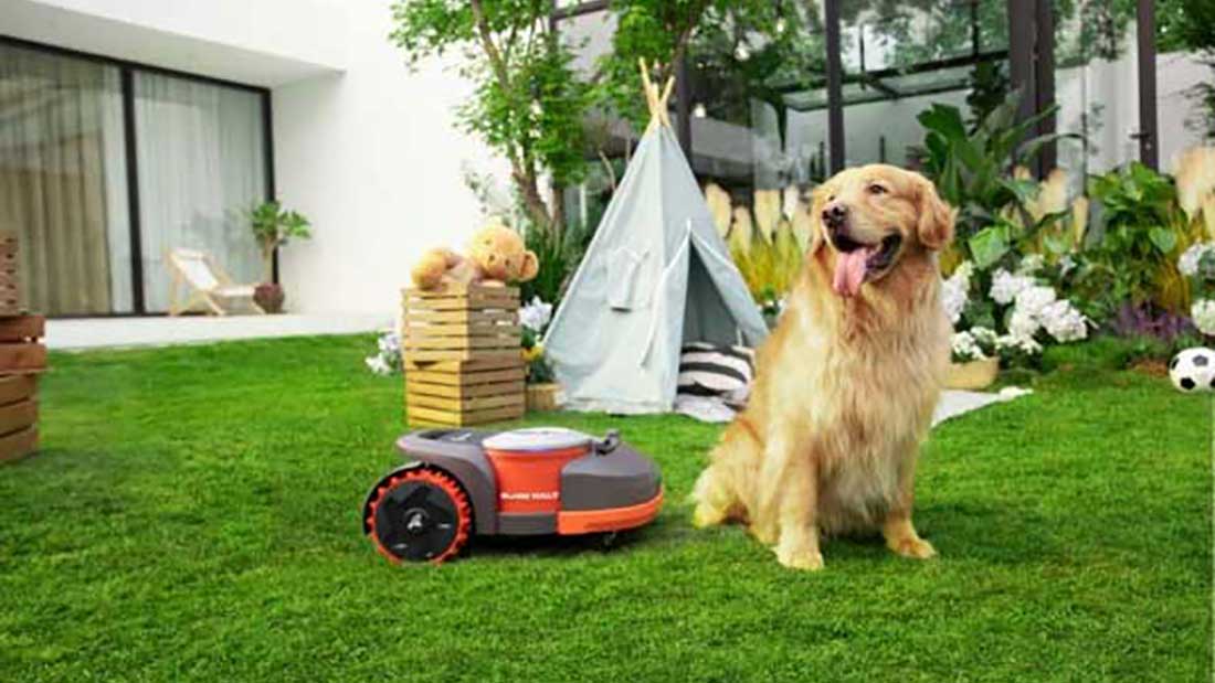 Robot da giardino e animali domestici